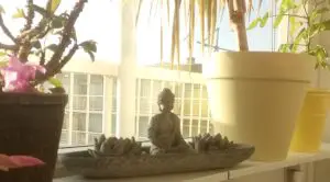 Een buddha beeldje op de vensterbank tussen mooie planten
