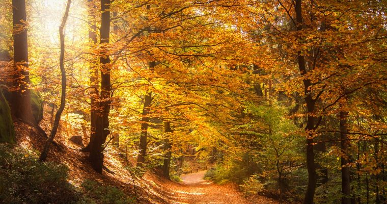 Mediteren in de natuur – tips per natuurgebied en seizoen