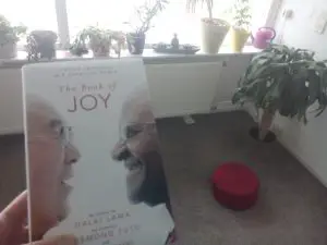 Ik houdt The Book of Joy vast